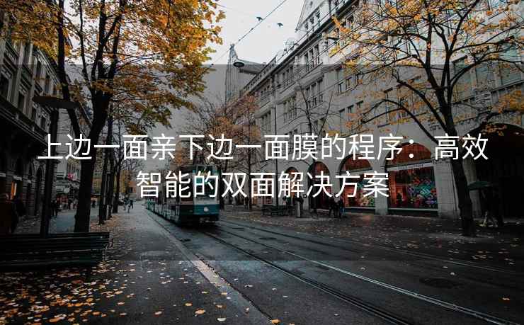 上边一面亲下边一面膜的程序：高效智能的双面解决方案