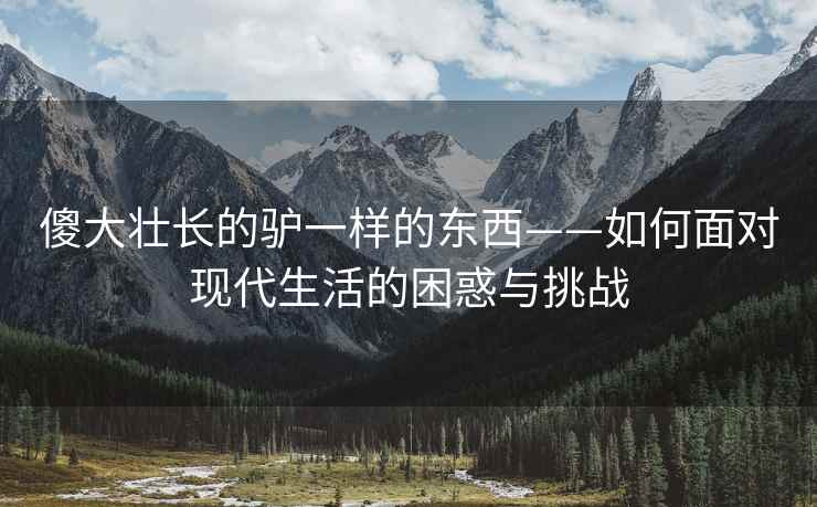 傻大壮长的驴一样的东西——如何面对现代生活的困惑与挑战
