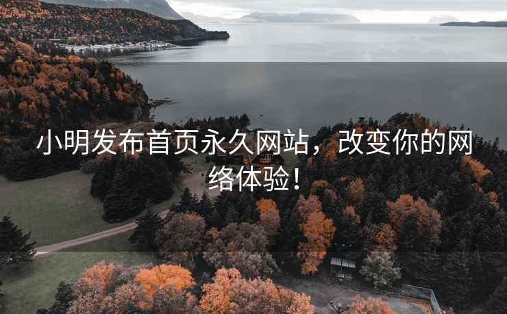 小明发布首页永久网站，改变你的网络体验！